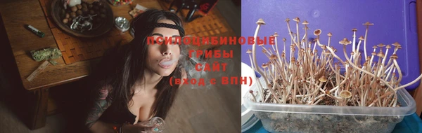 кокс Абинск