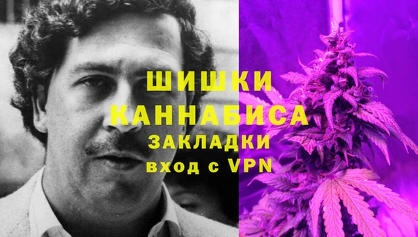 сатива Абаза