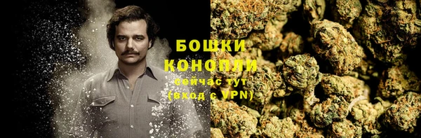 сатива Абаза