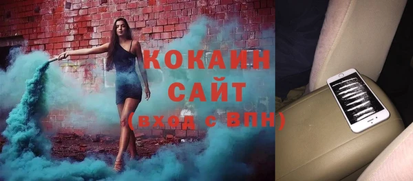 сатива Абаза