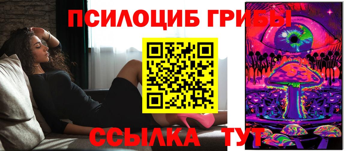 Псилоцибиновые грибы GOLDEN TEACHER Сертолово