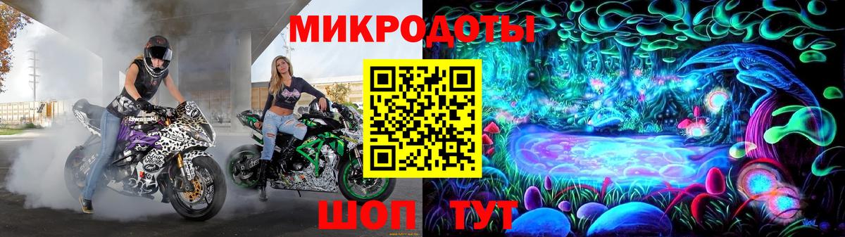 Сертолово  Псилоцибиновые грибы Psilocybine cubensis  Вход с VPN  Псилоцибиновые грибы MAGIC MUSHROOMS 
